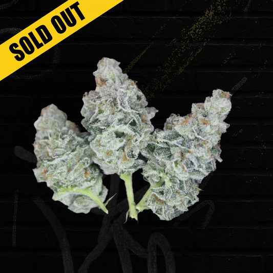 Honey Banana THCP