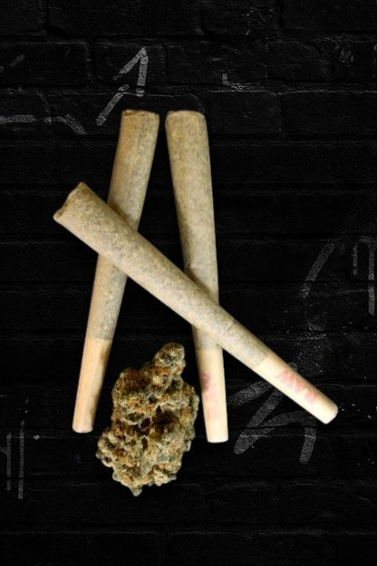 Notaloka Pre rolls 