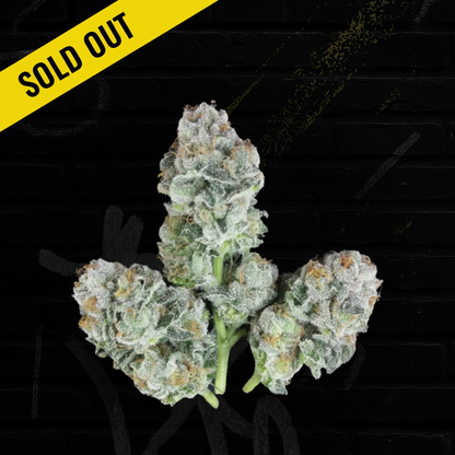 Gelato 41 THCP