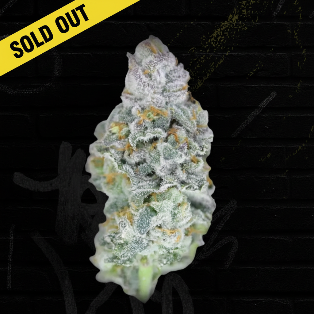 Gelato 41 THCP