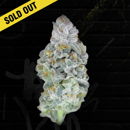 Gelato 41 THCP