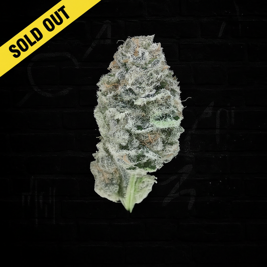 Grape Cream Cake THCP