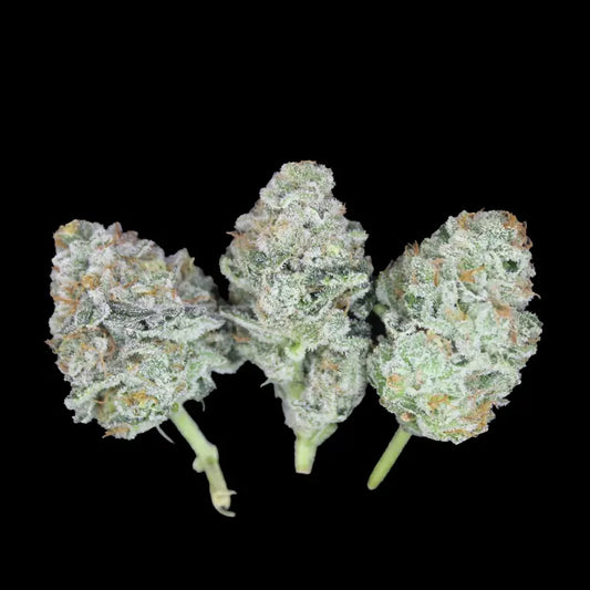 Sour Garlic Gelato