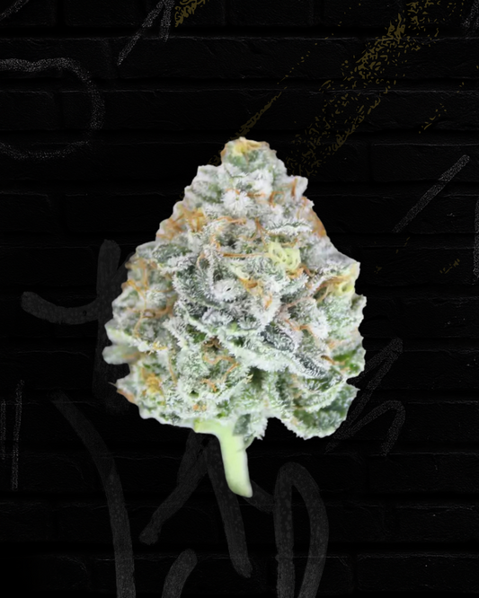 Sour Garlic Gelato